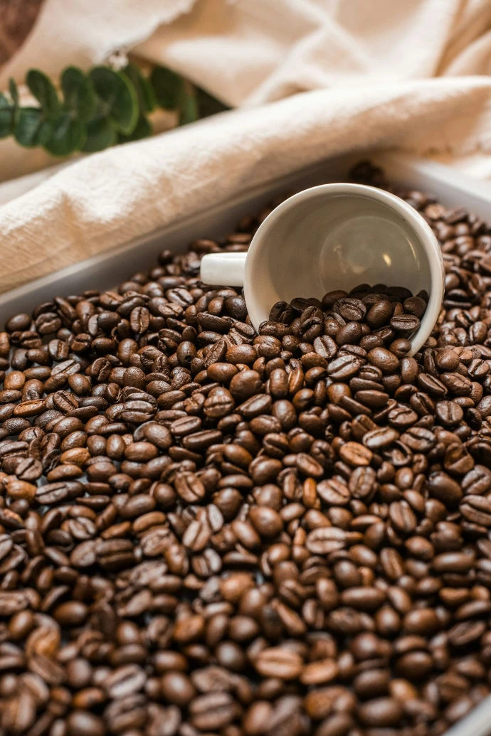 A white ceramic cup resting in a pile of roasted coffee beans