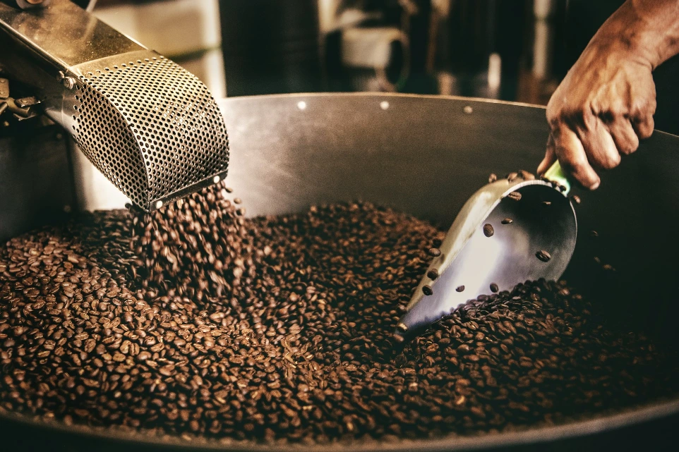 A person using a metal scoop to stir roasted coffee beans in Playa del Carmen